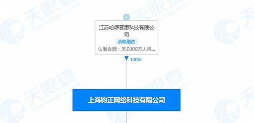 哈啰出行關聯公司注冊資本增至35億人民幣，信息系統集成服務或成戰略新支點
